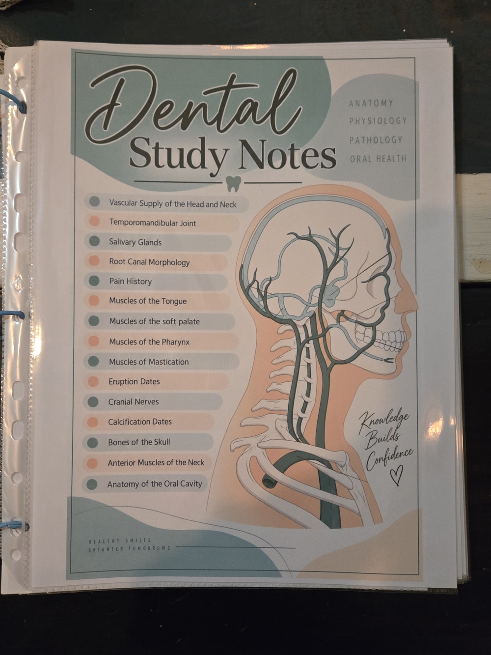 Dental Hygiene Study Notes | Dental Anatomy, Physiology & Oral Health Study